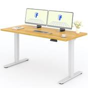 Flexispot Höhenverstellbarer Schreibtisch mit 2 Motoren