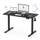Flexispot QN1