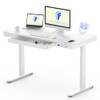 Flexispot Schreibtisch Touch