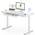 Flexispot Schreibtisch Touch