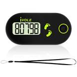 Flintronic Mini-Schrittzähler