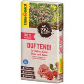 Floragard Bio-Erde Vergleich