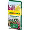Floragard Blumenerde