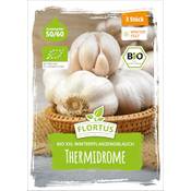 Flortus Bio XXL Winterpflanzknoblauch Thermidrome