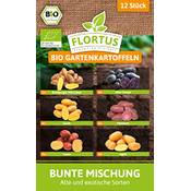 Flortus Gartenkartoffeln Bunte Mischung Vergleich