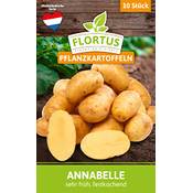 Flortus Pflanzkartoffeln Annabelle Vergleich