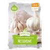 Flortus Winterpflanzknoblauch Messidrome