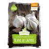 Flortus Winterpflanzknoblauch XXL Blanc de Lautrec