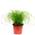Flowerbox 2138