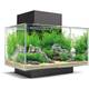 Fluval Edge 2.0 Test