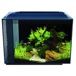 Fluval Spec XV