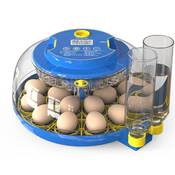 Fofnon Brutautomat Vergleich