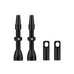 Fomtor Tubeless-Ventil