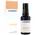 Foondiert Curcumin Support Complex