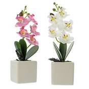 Frank Flechtwaren Kunstpflanze Deko-Orchidee Vergleich