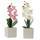 Frank Flechtwaren Kunstpflanze Deko-Orchidee