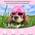 Frienda Kleiner Hundehelm Schutzbrille