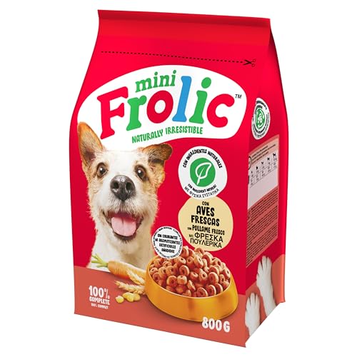 Frolic-Hundefutter Test und Vergleich 2026 | WELT.de