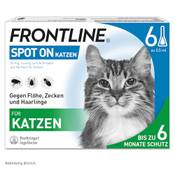 Frontline Spot On Katze Vergleich