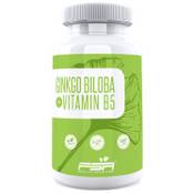 FSA Nutrition Gingko Biloba & Panax Ginseng Vergleich