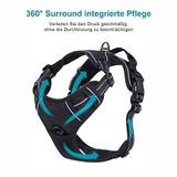 FullBerg Hundegeschirr