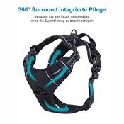 FullBerg Hundegeschirr
