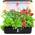 Fullwatt Smart Garden
