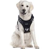 Funfox Y-Geschirr für Hunde