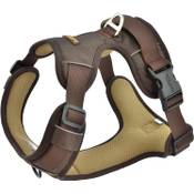 funPETic Hundegeschirr 2021