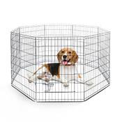 FurDreams Welpenauslauf Vergleich