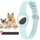 Gagbk Hundehalsband