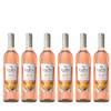 Gallo Spritz Pfirsich Nektarine rosé