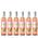 Gallo Spritz Pfirsich Nektarine rosé