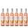 Gallo Spritz Pfirsich Nektarine rosé