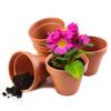 Garden Mania EE0024_sml