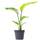 Gardenersdream STRNIC-13C