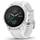 Garmin Fenix 6S