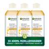 Garnier Mizellen Reinigungswasser All-in-1