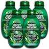 Garnier Wahre Schätze Grüner Tee & 5 Pflanzen