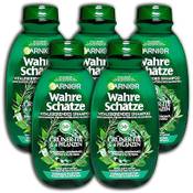 Garnier Wahre Schätze Grüner Tee & 5 Pflanzen Vergleich