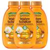 Garnier Wahre Schätze Pflegendes Öl-Shampoo