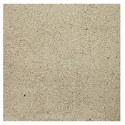 Garpet 2481