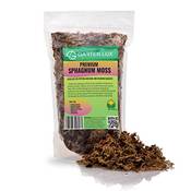 Garten Lux GL-MOSS-1-L Vergleich