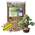 Garten Lux Premium Bonsai Substrat
