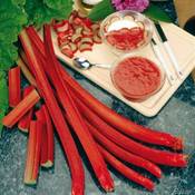 Garten Schlüter Holsteiner Blut Vergleich