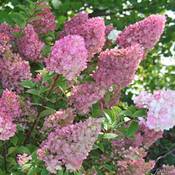 Garten Schlüter 522430 Vergleich
