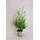 Gartenbau-Service Thuja occidentalis Brabant