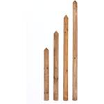 Gartenwelt Riegelsberger Zaunlatte gekegelt