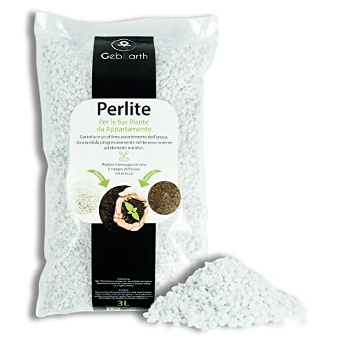 Perlite Pflanzen Test & Vergleich  Top 14 im Juni 2026