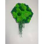 Gedankenwunder Manufaktur Ranken Island